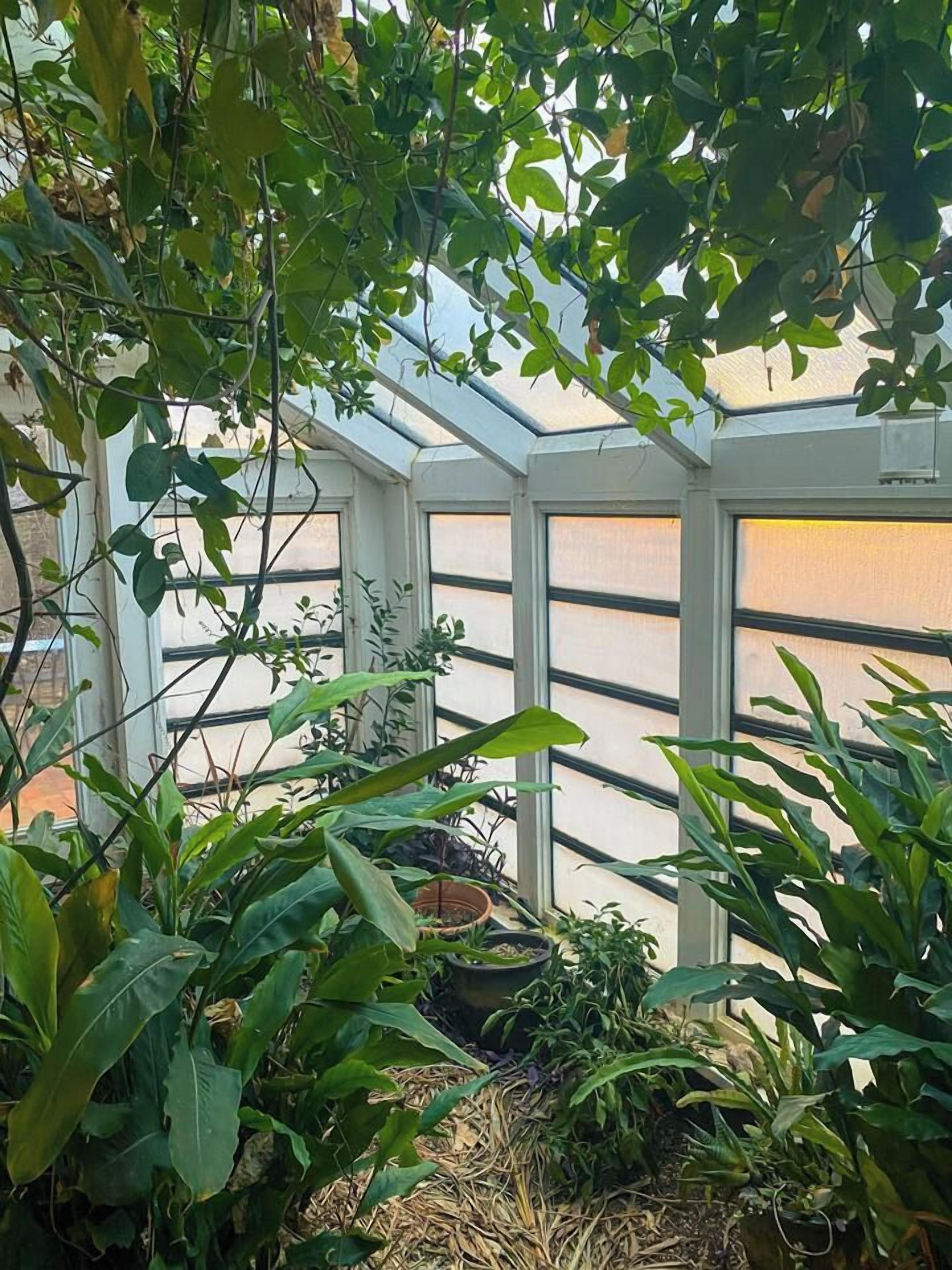 A greenhouse with glass walls, various plants, and a potted plant on the ground.