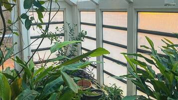 A greenhouse with glass walls, various plants, and a potted plant on the ground.