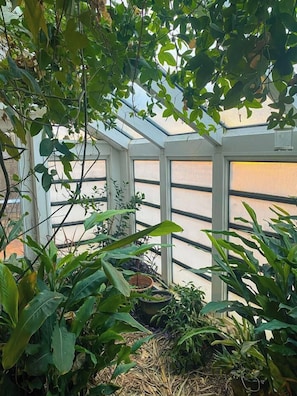 A greenhouse with glass walls, various plants, and a potted plant on the ground.