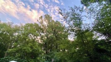 The seasonal pool is open from Memorial Day to Labor Day. Open to only the guests at Cair Paravel the pool is a private oasis to relax and hear the birds, see the start, and float your worries away.