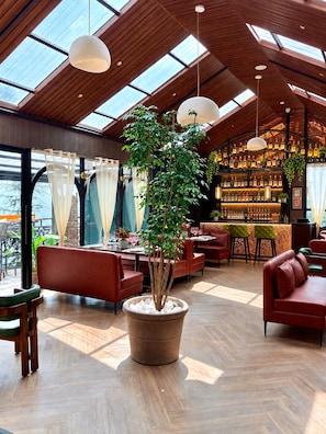 A spacious indoor area with a large potted plant, wooden flooring, and a bar area with shelves of bottles.