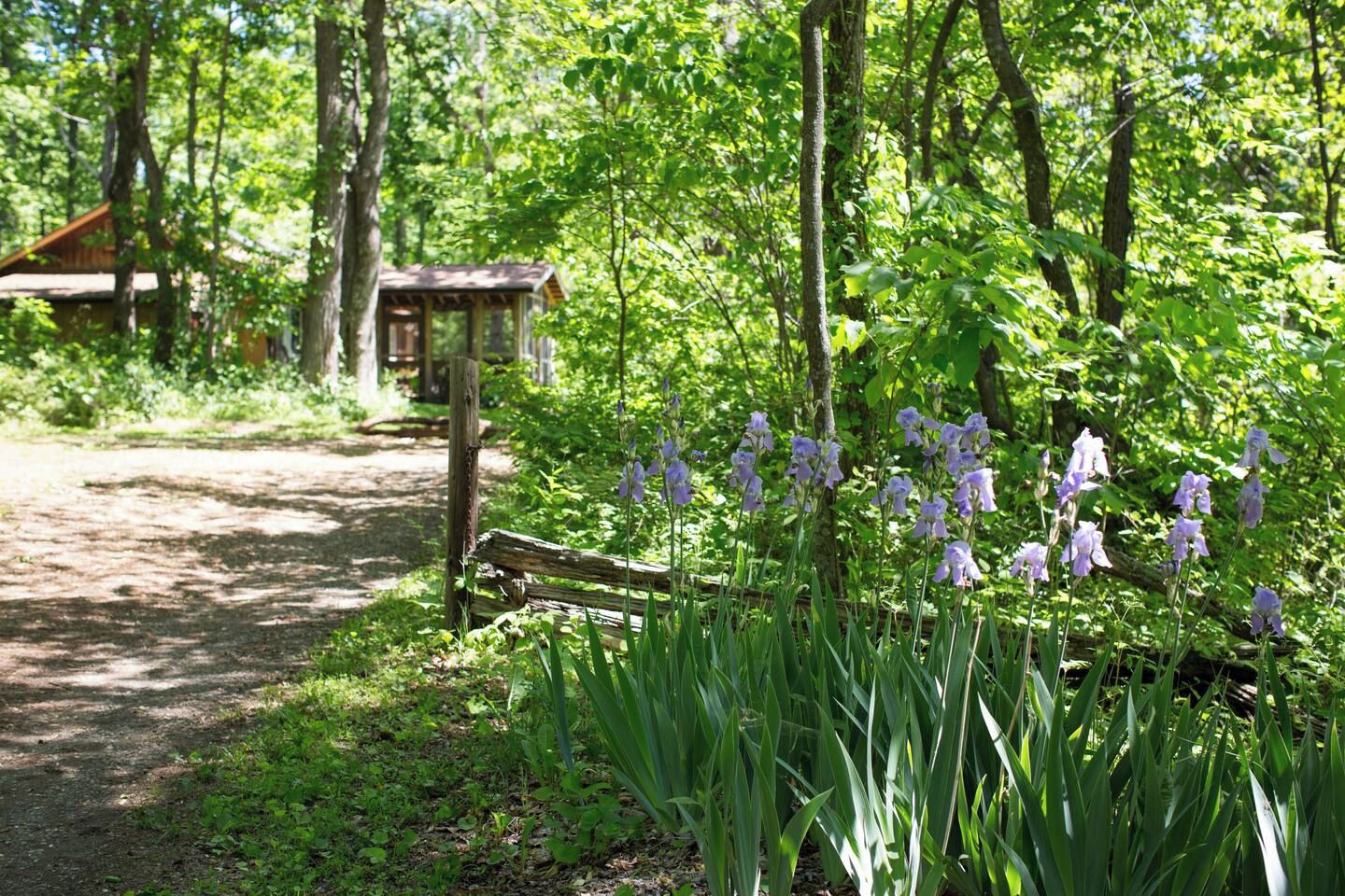 A short private drive to Tumnus House parking area which accommodates several vehicles.