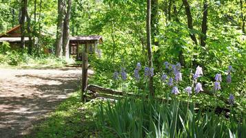 A short private drive to Tumnus House parking area which accommodates several vehicles.