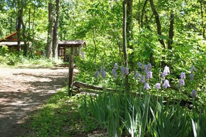 A forested area with a dirt path leading to a wooden structure.