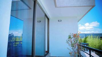 A balcony with a potted plant, a glass door, and a clear sky.