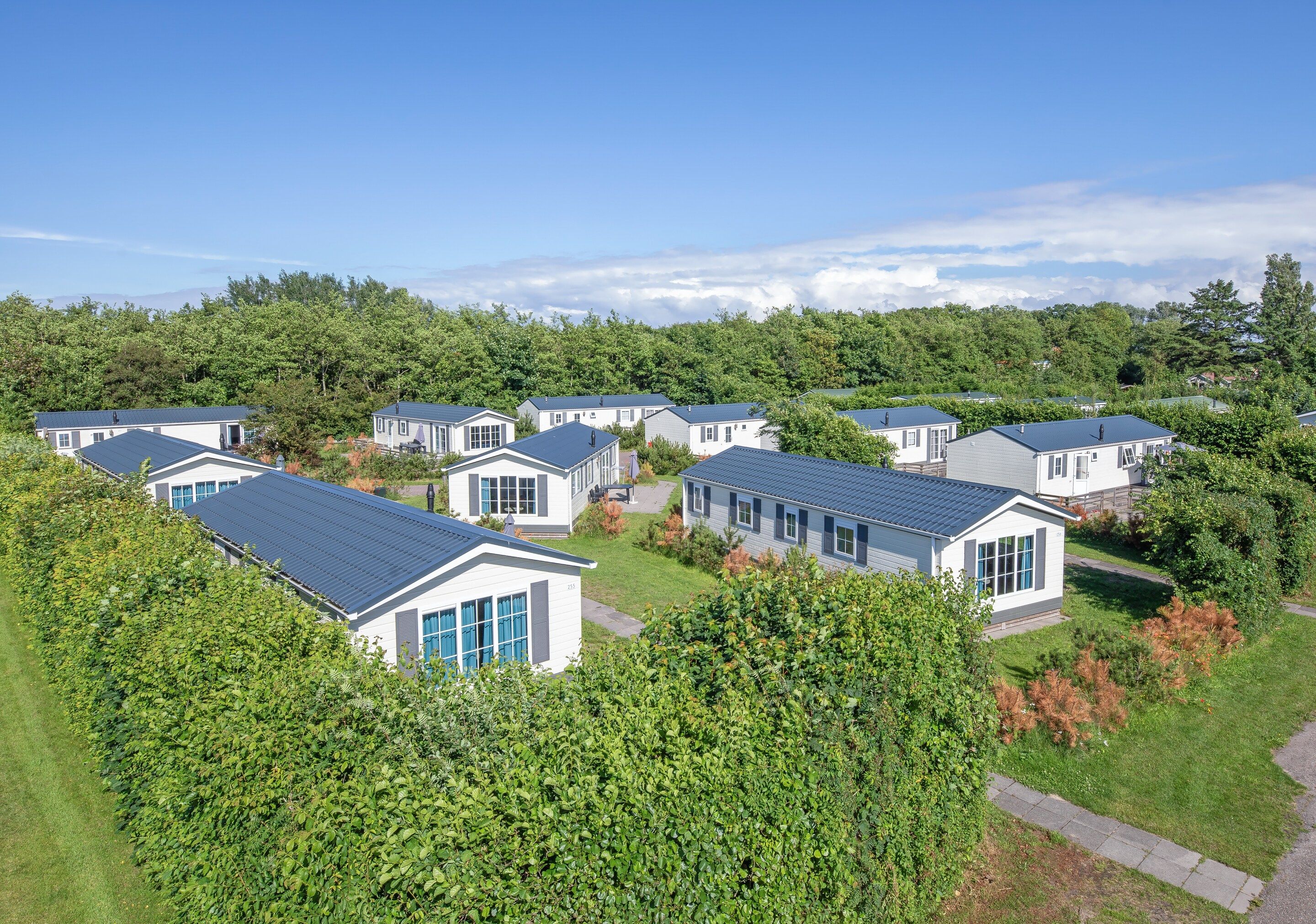 A cluster of modern, single-story mobile homes with large windows and flat roofs, surrounded by dense greenery and trees.