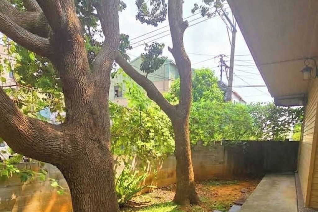 A tree-lined courtyard with a concrete pathway and a building in the background.