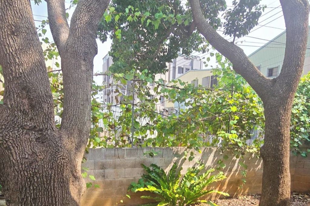 Un espace extérieur bordé d’arbres, avec un mur de briques et un bâtiment en arrière-plan.
