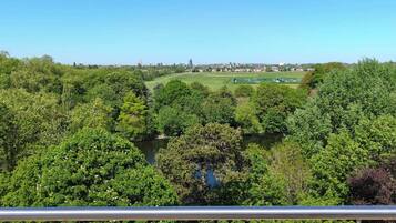 A view from a balcony overlooking a river, surrounded by dense greenery and a distant cityscape.