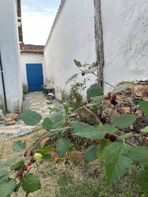 A narrow pathway leading to a blue door, surrounded by white walls and a stone-tiled roof.