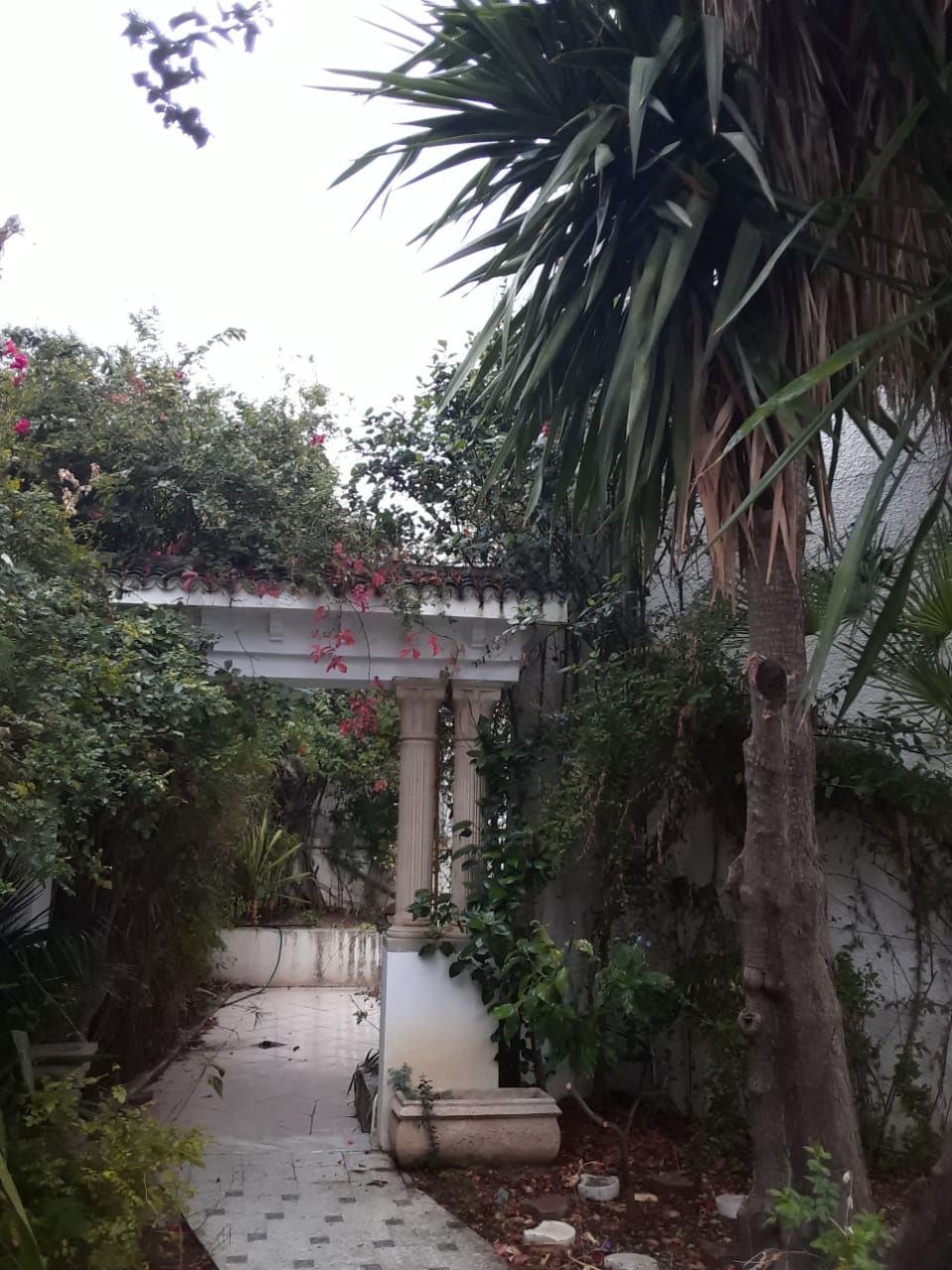 Un sentier étroit bordé d’une végétation luxuriante et surmonté d’un pont de pierre.