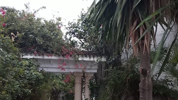 Un sentier étroit bordé d’une végétation luxuriante et surmonté d’un pont de pierre.