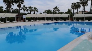Una piscina con sillas de descanso y sombrillas, rodeada de palmeras.