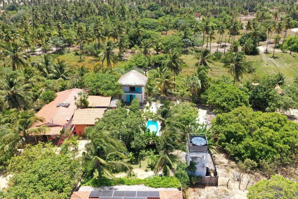 Um resort tropical com vários edifícios rodeados por palmeiras densas.