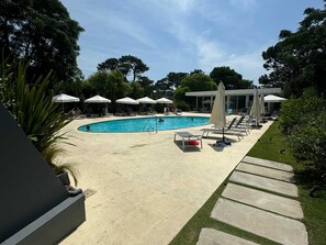 Une piscine entourée de verdure, avec des chaises longues et des parasols.