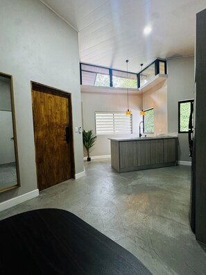 A modern kitchen with a central island, a wooden door, and a potted plant. - Premium 1-bedroom apartment in fantastic Pinilla-Tamarindo with AC-RANCHO-POOL (Provincia de Guanacaste)