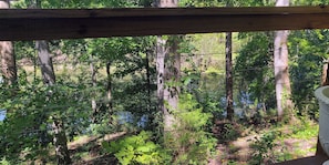 A view through a wooden fence with a natural forest background. - Hill Top Cabin overlooking The Pond! (Granite Falls)