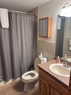 Ein Badezimmer mit Duschvorhang, Toilette, Waschbecken und Spiegel.