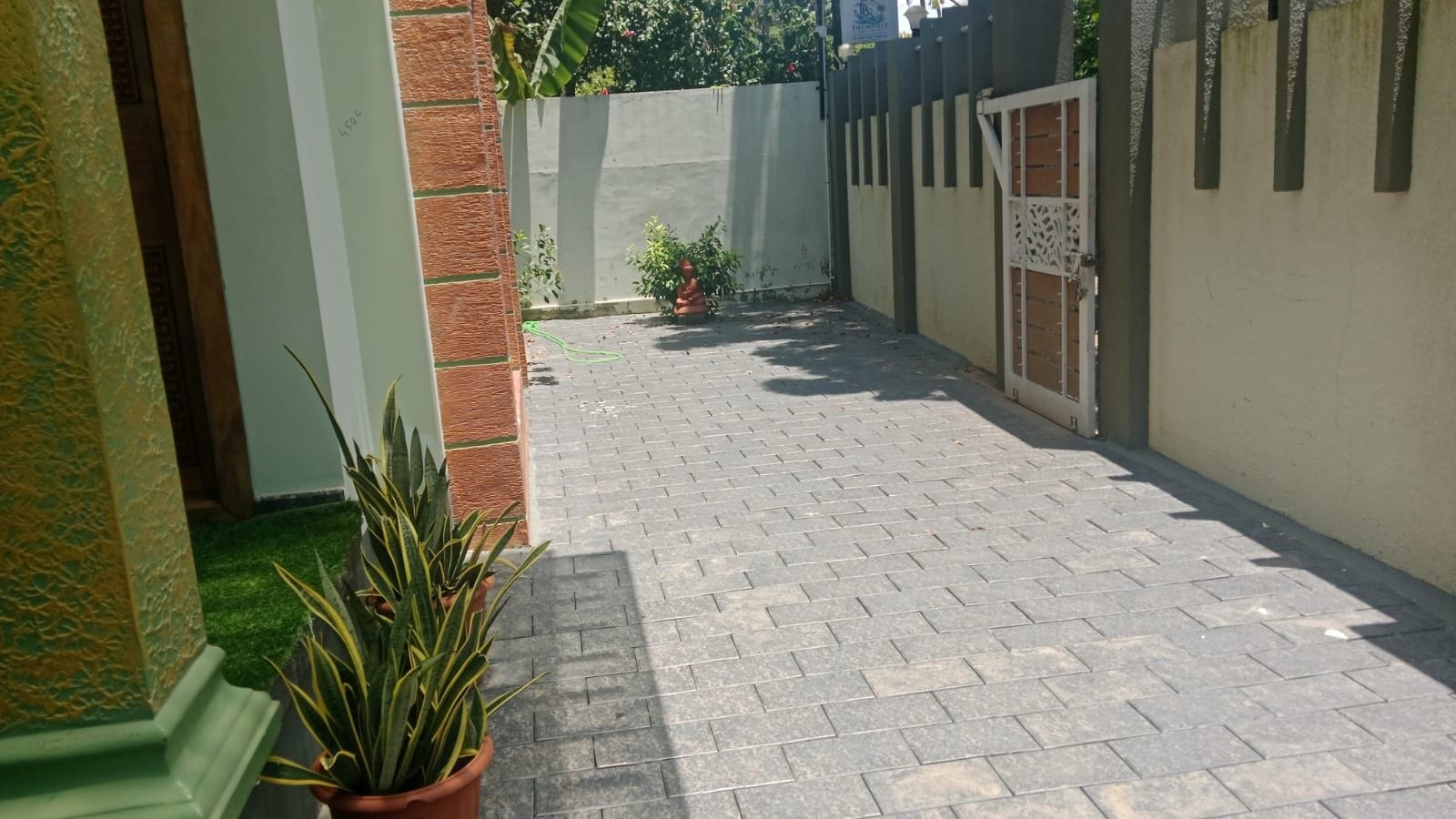 A paved courtyard with a potted plant and a wall with a gate.