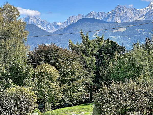 Ett bergigt landskap med tät skog och en klar himmel.