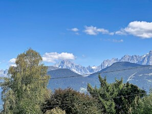 Eine Berglandschaft mit blauem Himmel, Stromleitungen und dichtem Wald im Vordergrund.