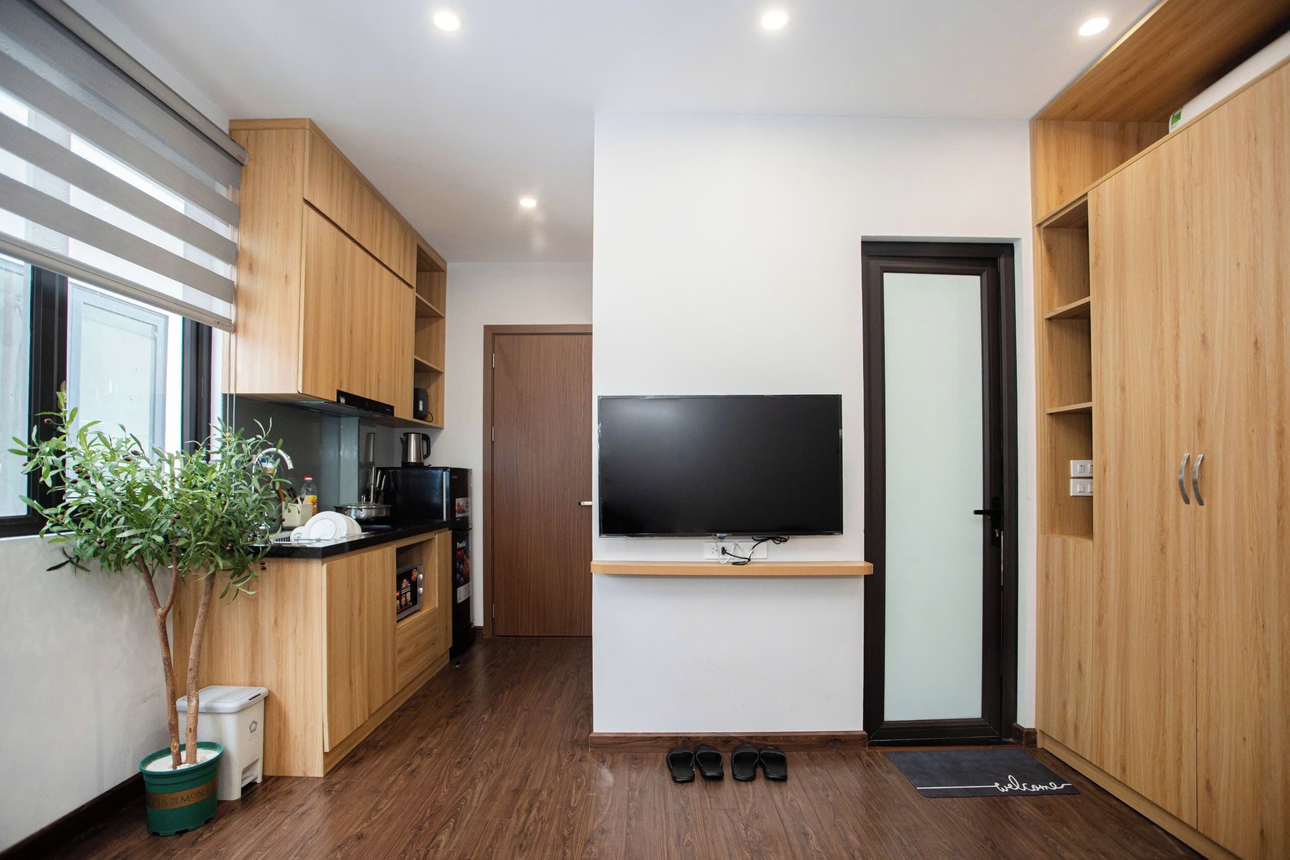 A compact kitchen with wooden cabinets, a black countertop, a built-in TV, and a small potted plant.