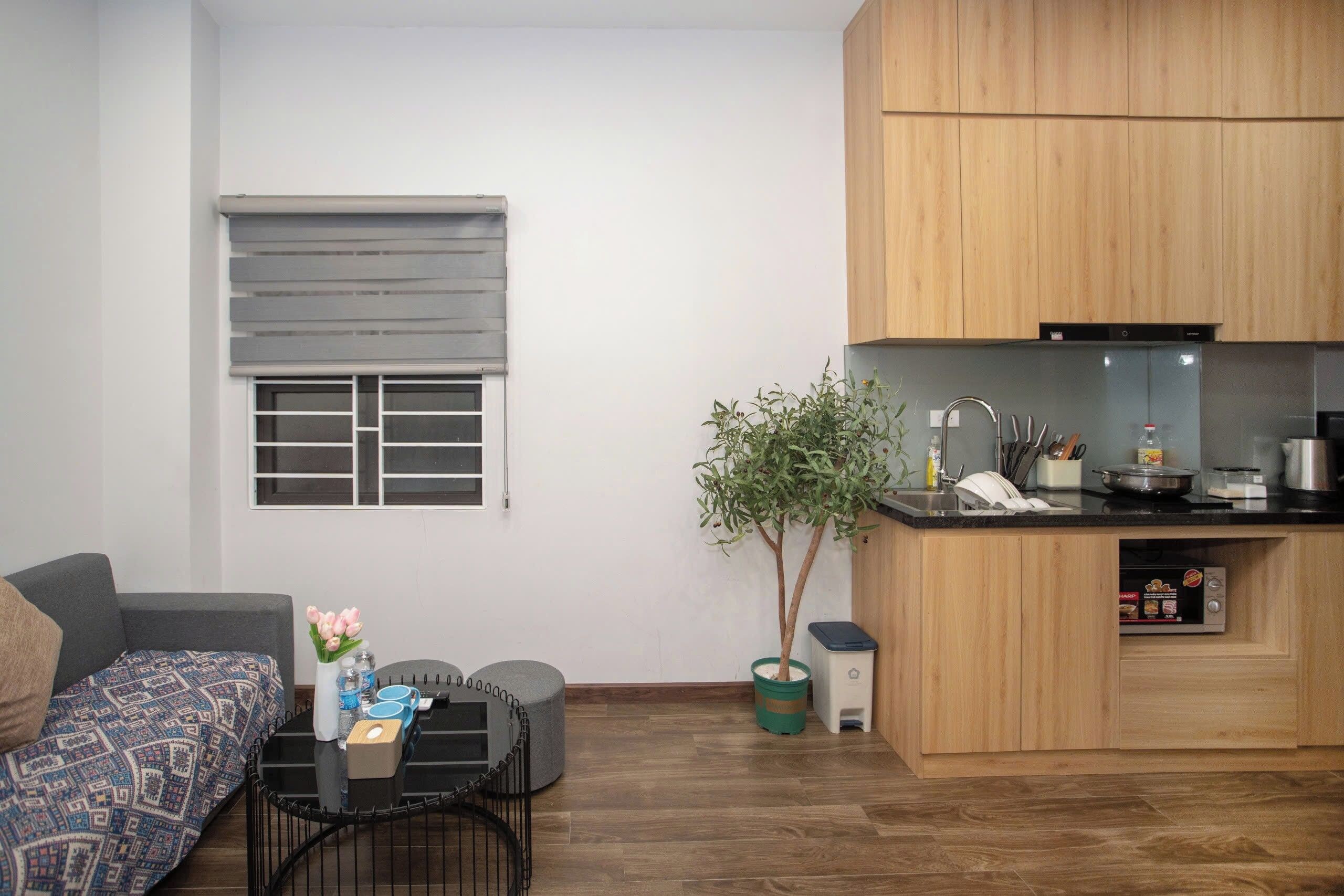 A compact living space with a sofa, a small dining table, a potted plant, and a kitchenette.