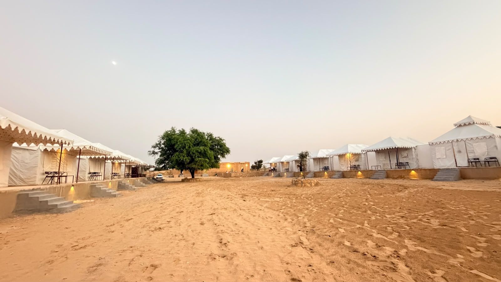 A desert landscape with white tents and a tree in the center.