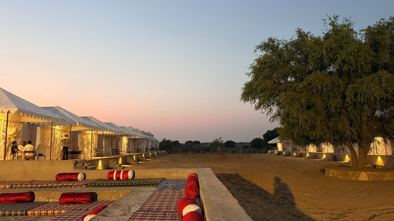 A desert camp with tents and a large tree providing shade.