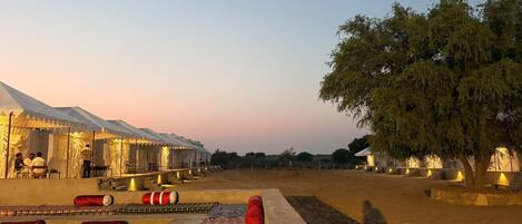 A desert camp with tents and a large tree providing shade.