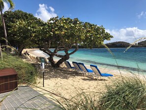 A beach with lounge chairs, a tree, and a clear view of the sea. - Oceanfront 3BR at the Ritz-Carlton Club: Beach Walkout & Handicap Accessible (Nazareth)