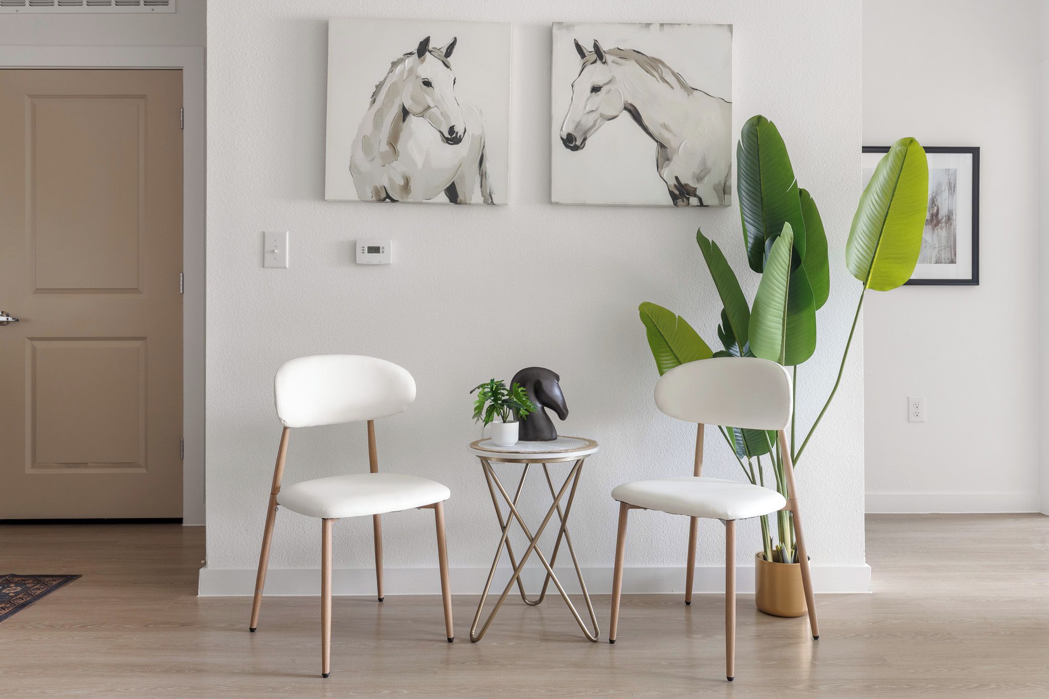 A minimalist room with two white chairs, a small table, and a potted plant.