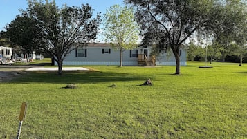 A residential area with a house, trees, and a grassy field.