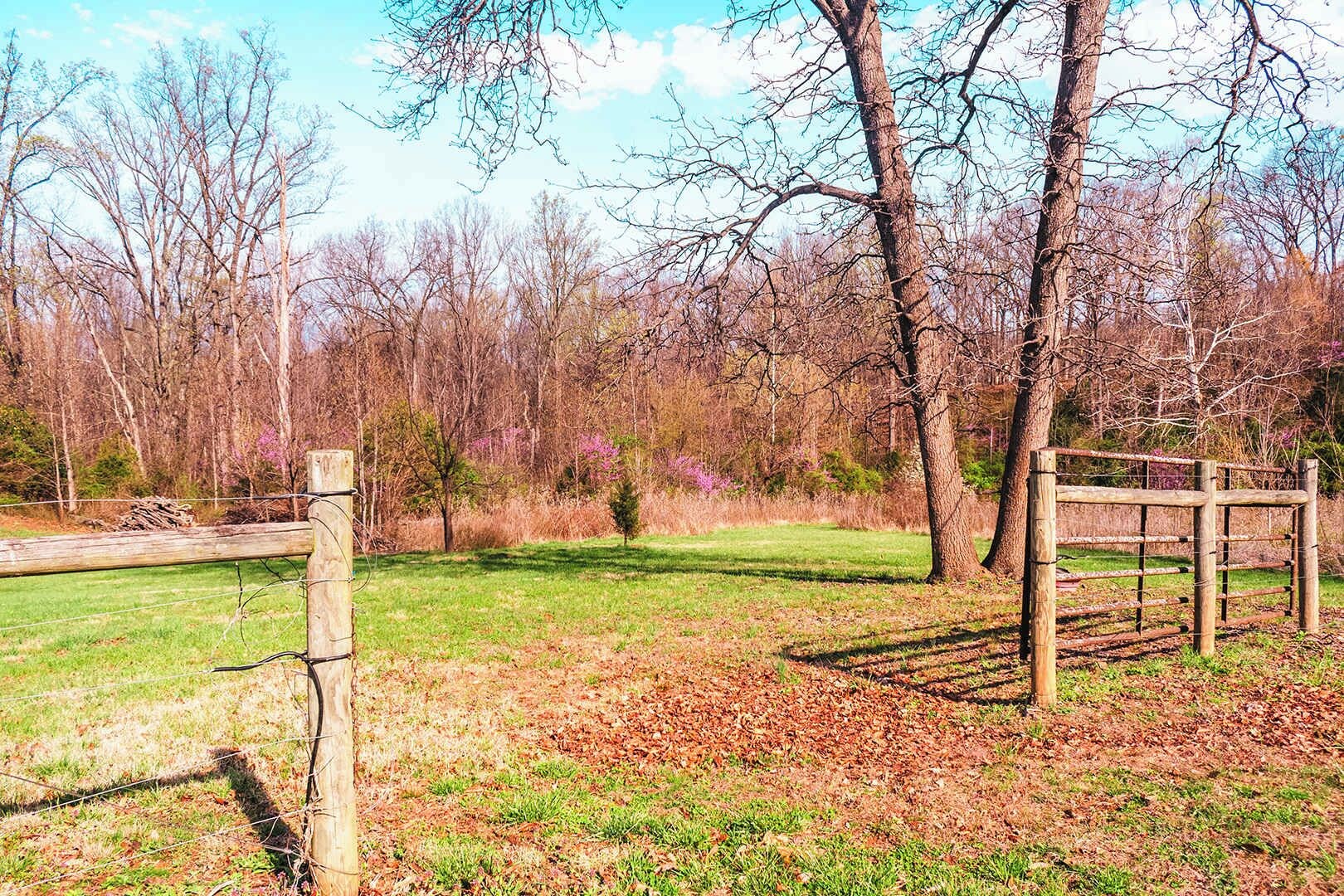 Un parque cercado con árboles, un poste de madera y una reja metálica.
