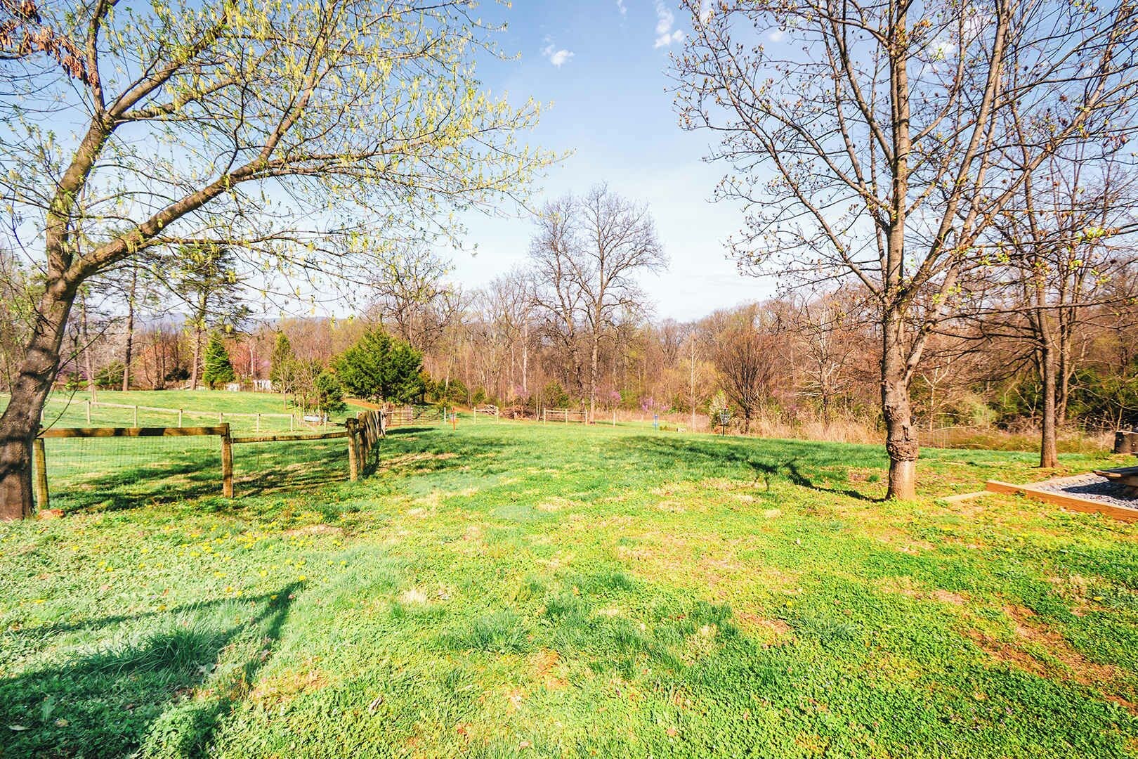 A grassy field with trees and a fence.