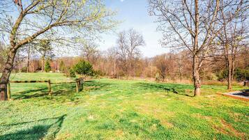 A grassy field with trees and a fence.
