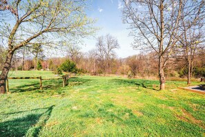 A grassy field with trees and a fence.