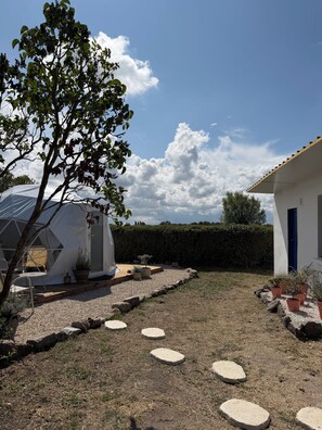 A garden with a white building, a tree, and a tent.
