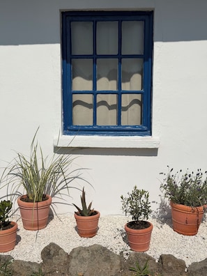 A white building with a blue window and several potted plants.