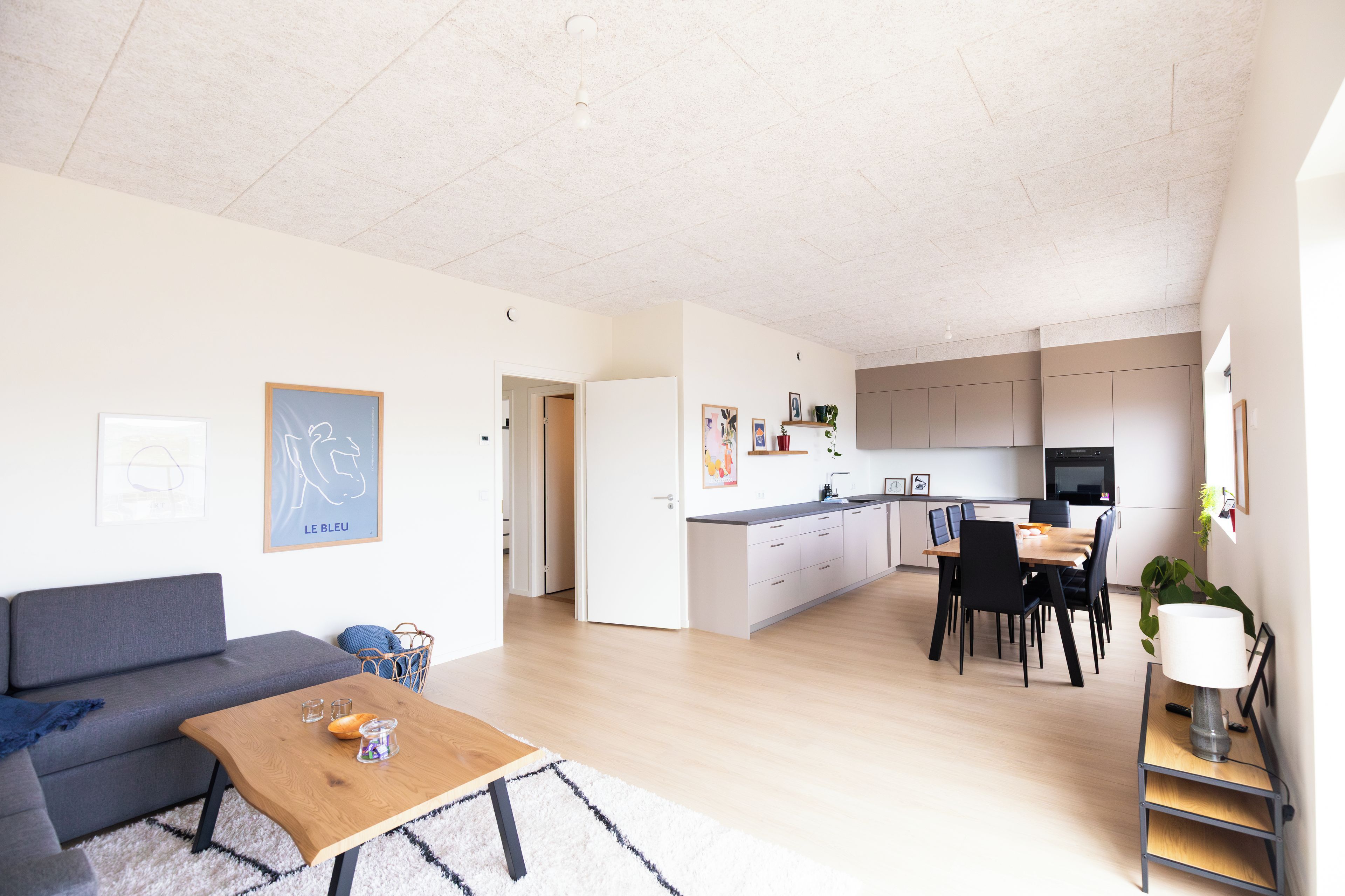 A modern apartment with a living room, kitchen, and dining area.