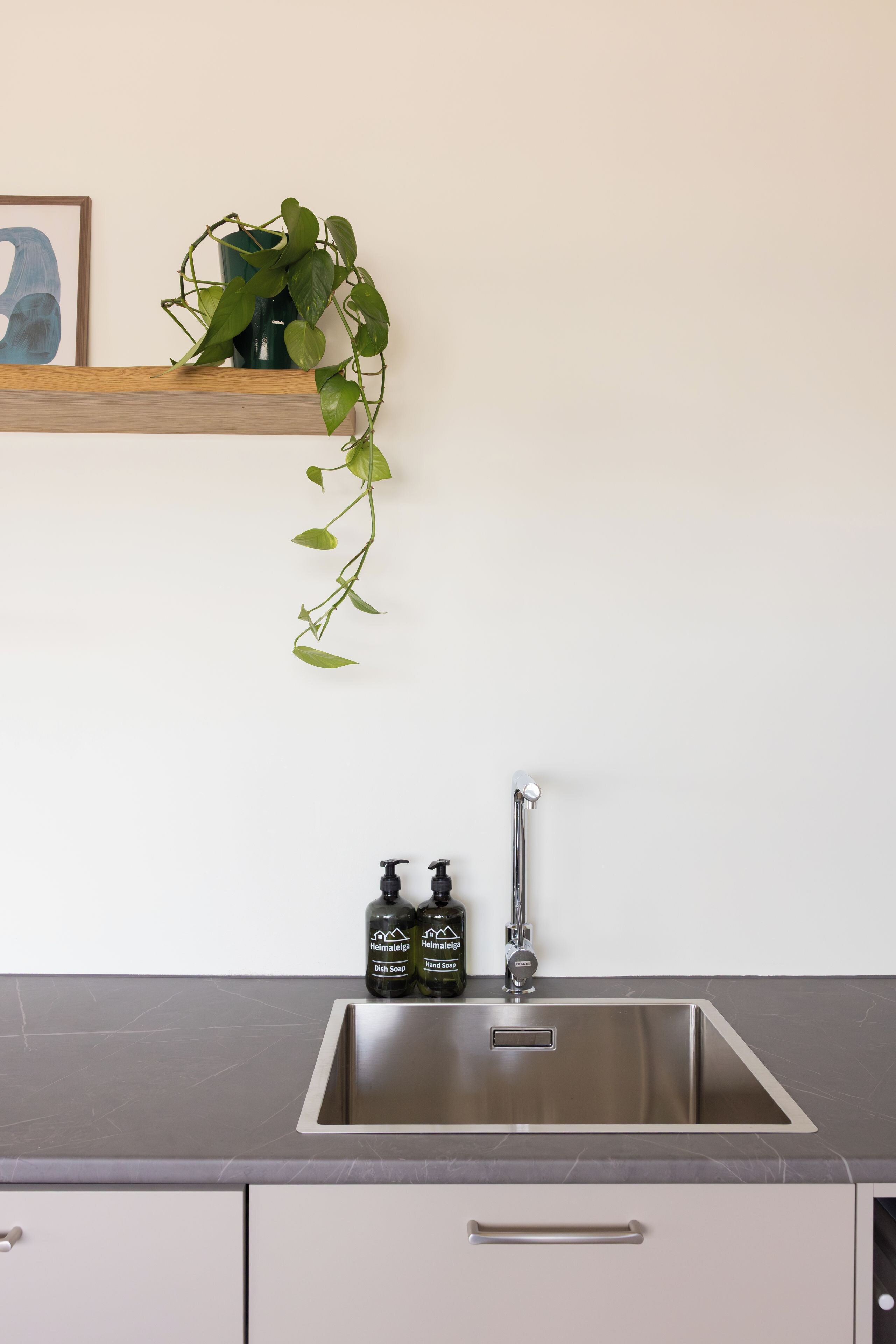 A kitchen with a stainless steel sink, two bottles of dish soap, and a potted plant on a wooden shelf.