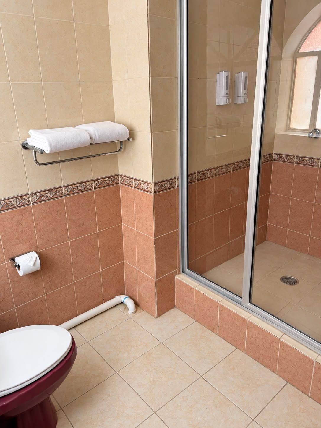 Un baño con ducha envuelta en vidrio, inodoro y barra para toallas.