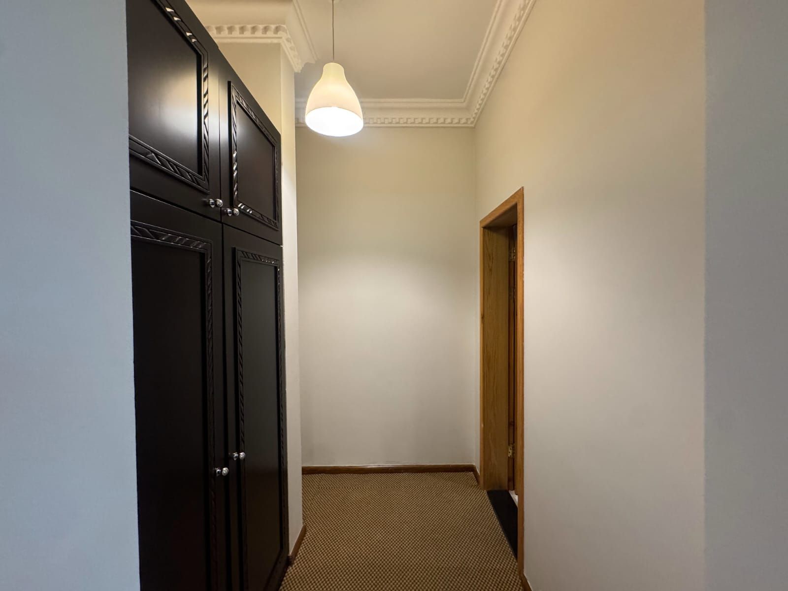 A hallway with a carpeted floor, a wooden door, and a pendant light fixture.