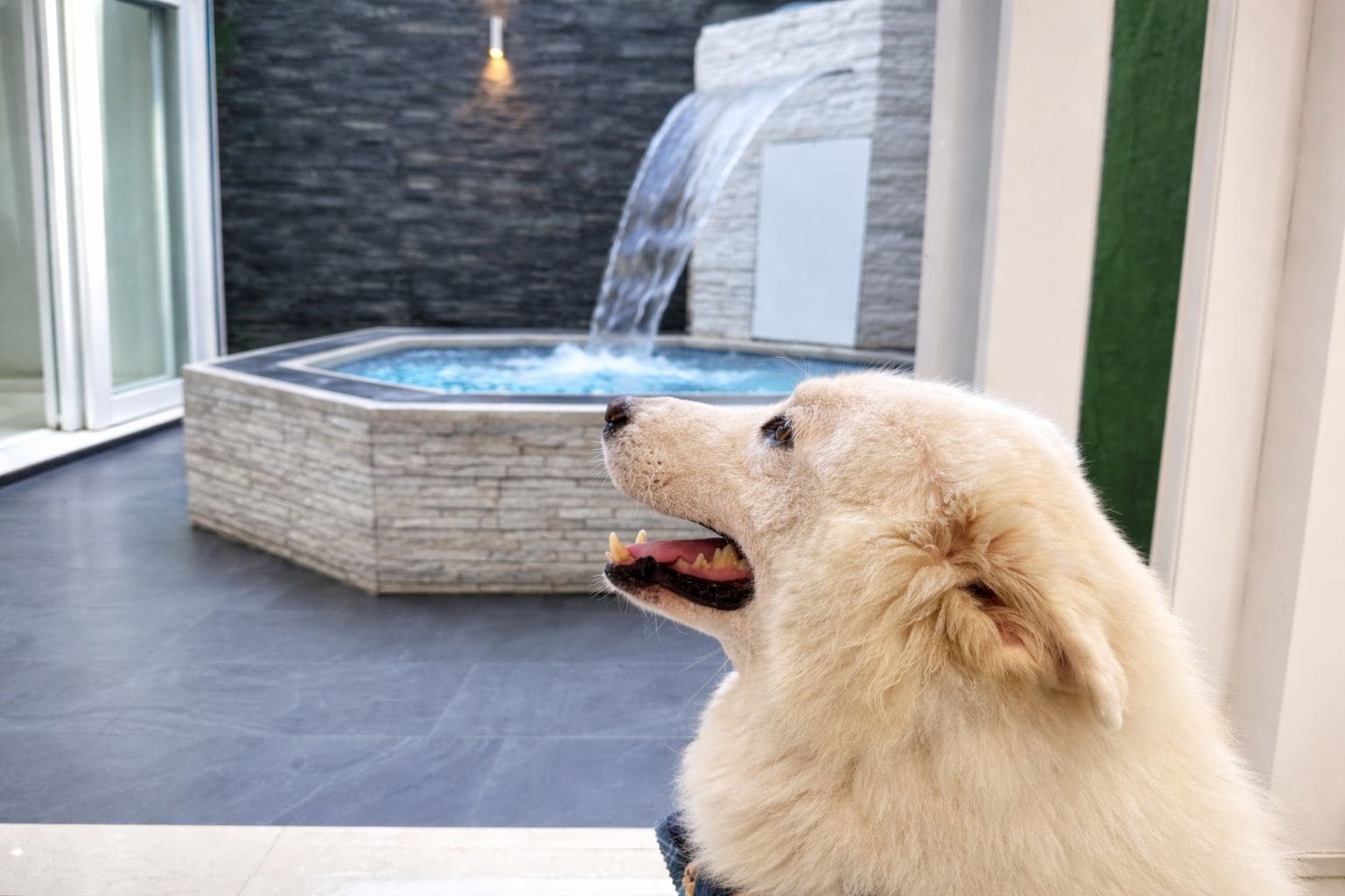 Un perro mirando un jacuzzi con una cascada.
