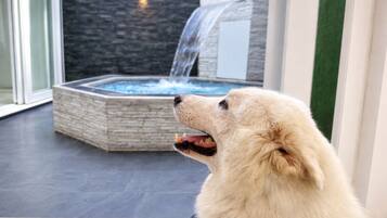 Un perro mirando un jacuzzi con una cascada.