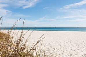 Une plage avec du sable et de l’herbe au premier plan, un ciel dégagé et l’océan en arrière-plan.