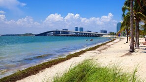 Ein Strand mit einer Mole, die sich ins Wasser erstreckt, Palmen und einem klaren Himmel.