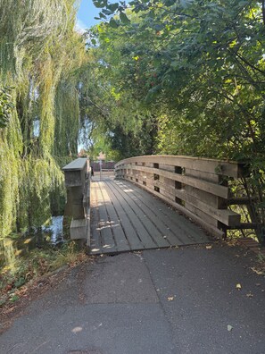 Eine Holzbrücke überspannt ruhiges Wasser, umgeben von üppiger Vegetation.