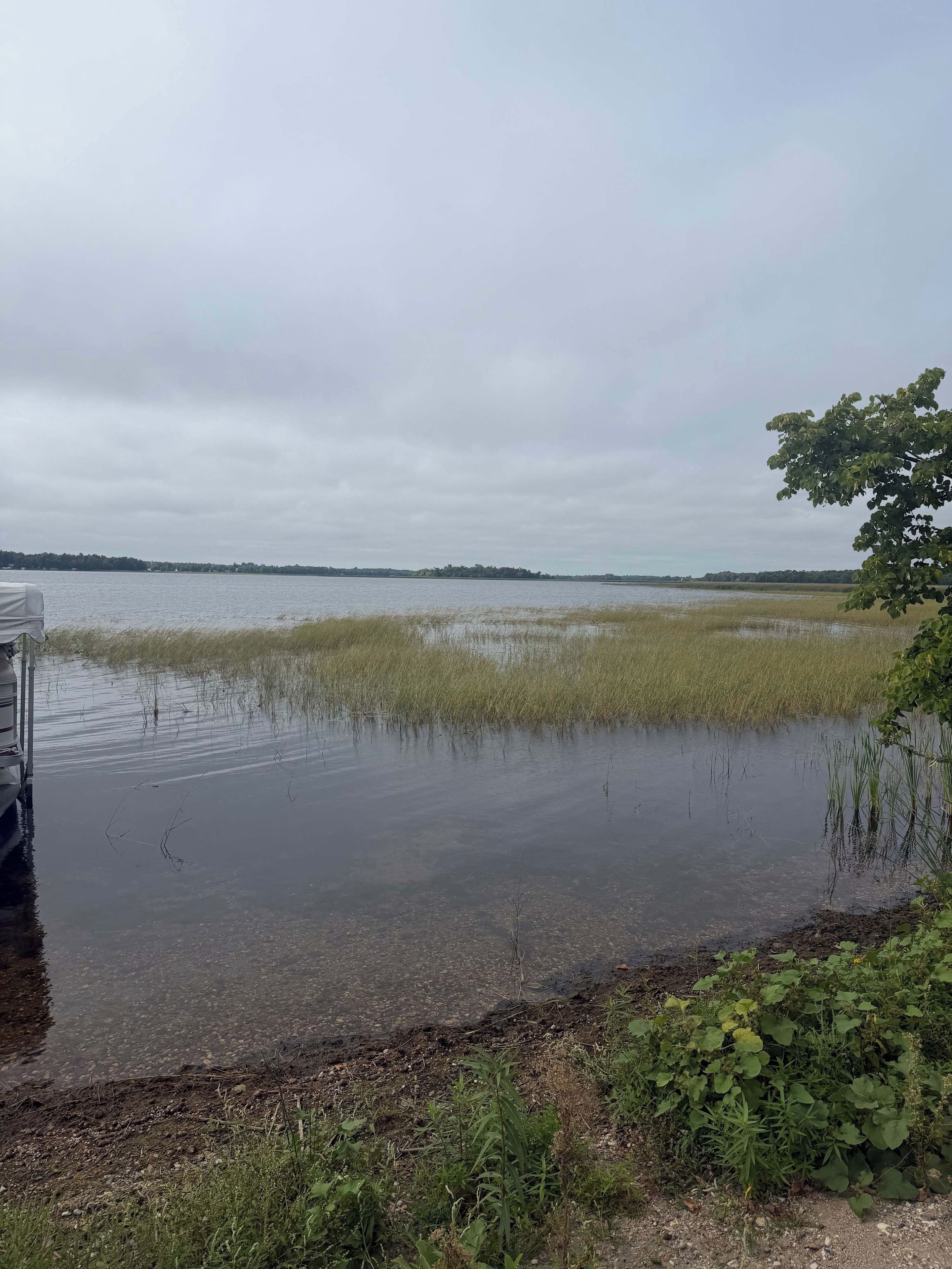 A flooded area with a body of water, vegetation, and a distant shoreline.