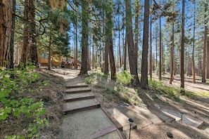 A forested area with a wooden cabin and a staircase leading up to it. - The Forest Haus: Hot Tub, Pets, Hiking, BBQ (South Lake Tahoe)